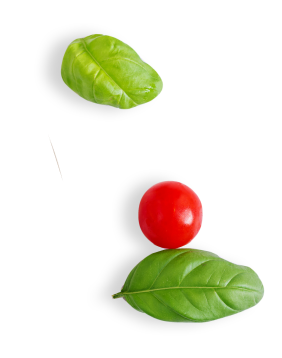 Berg Kebab Restaurant